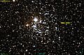 NGC 2439 DSS