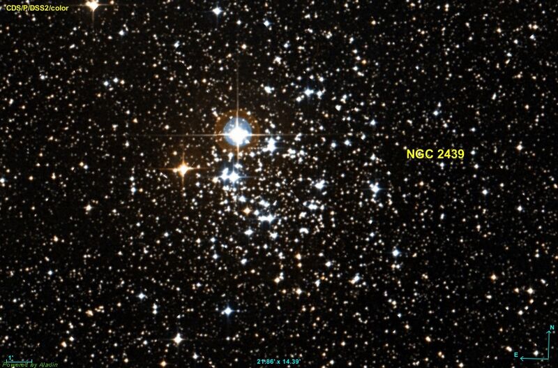 NGC 2439 DSS