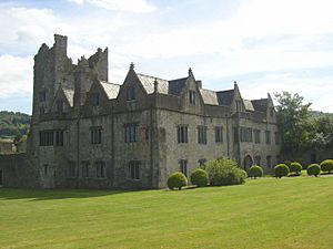Archivo:Ormonde Castle - Carrick-on-Suir