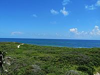 Archivo:Paisaje del sendero de las dunas Parque Nacional Isla COntoy