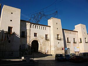 Archivo:Palau dels Milà i Aragó d'Albaida