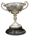Pinocup