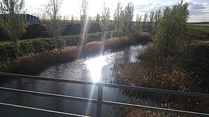 Archivo:Puente sobre el Rio Valderaduey Camino de las Bodegas