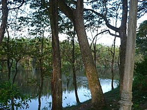 Archivo:Río La Vieja. Cartago, Valle, Colombia