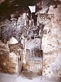 Reine-niche