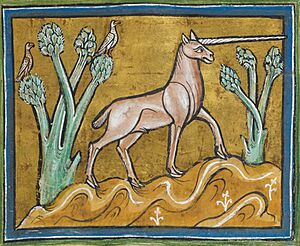 Archivo:RochesterBestiaryFolio021rMonoceros s