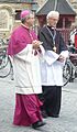 SANGUIS BRUGENSIS14 36