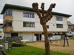 Salbide3