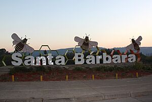 Archivo:Santa Bárbara VIII Región