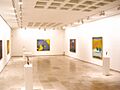 Segovia - Museo de Arte Contemporáneo Esteban Vicente 3