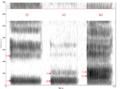 Spectrogram -iua-