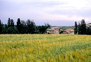 Torremediana (2007).jpg
