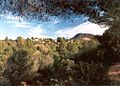 TossalMollet SJoanMoró