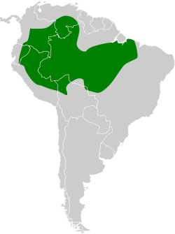 Distribución geográfica del saltarín enano.