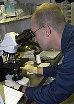 Archivo:US Navy 040616-N-4565G-004 Advanced laboratory technician Hospital Corpsman 2nd Class John Zettlemoyer views a blood sample through a forensics microscope