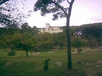 Vista de los Jardines del Palacio de la Magdalena