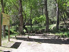 Área recreativa El Tobón