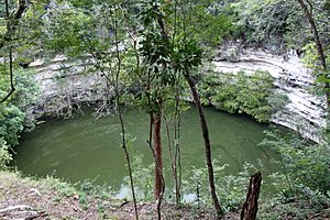 Archivo:2014-01-03 Chichén Itzá, Cenote Sagrado 01 anagoria
