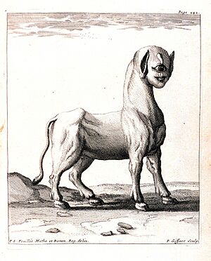 Archivo:A Monster Born of a Ewe