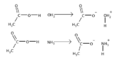 Acid-base