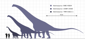 Archivo:Alamosaurus Scale Chart Steveoc