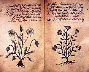 Archivo:Arabic herbal medicine guidebook
