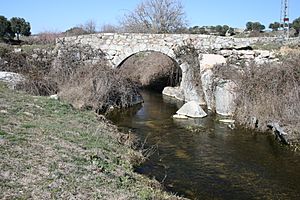 Archivo:Arroyo de Tejada 01