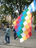 Archivo:Banner of the Qulla Suyu on Argentine Flag Day 2007 parade