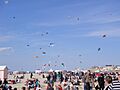 Berckplage cerfvolant