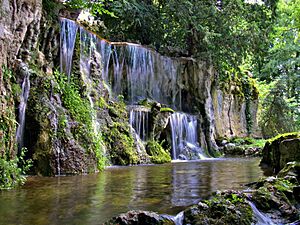 Archivo:Besançon, les cascades du parc Micaud