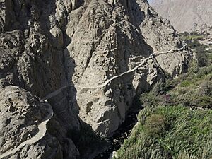 Archivo:Camino Inca Nieve Nieve (1)