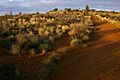 Climb to Imalung Lookout, Yulara