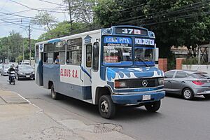 Archivo:Colectivo de la Línea 37, una de las líneas que recorren Loma Pytá