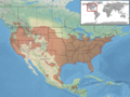 Coluber constrictor distribution