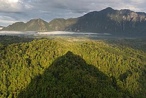 Archivo:Conical shadow of Mount Nam Xay over green trees at golden hour, South-West view from the top, Vang Vieng, Laos (cropped)