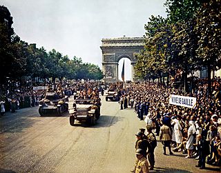 Archivo:Crowds of French patriots line the Champs Elysees-edit2