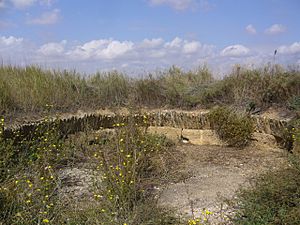 Archivo:Dolmen de La Velilla 3