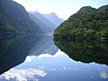 Doubtful Sound Clear