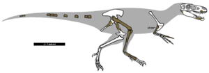 Archivo:Dryptosaurus remains 01