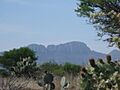 El Laurel - panoramio