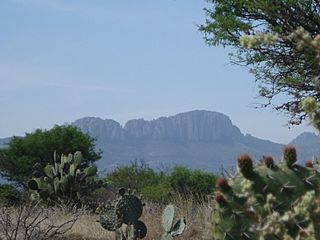 El Laurel - panoramio.jpg