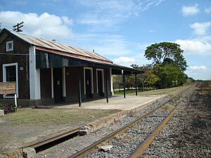 Archivo:Estacion Santa Coloma - edificio