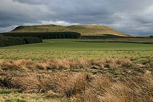 Archivo:Farmland near Hazelberry - geograph.org.uk - 1242145