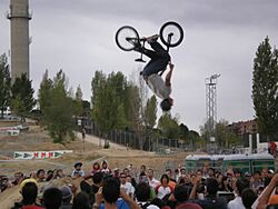 Archivo:Festibike2006TresCantos-Backflip