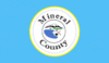 Flag of Mineral County, Nevada.gif