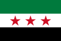 Flag of Syria 2011, observed