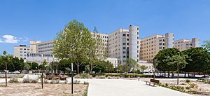 Archivo:Hospital General Universitario, Alicante, España, 2014-07-04, DD 24