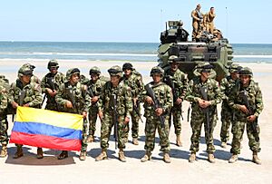 Archivo:Infantes de marina colombia