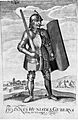 Ioan de Hunedoara