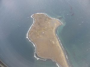 Archivo:Isla Magdalena, Magallanes, sur de Chile, desde un avión, antes de aterrizar en Punta Arenas